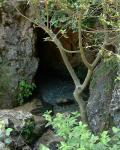 Birth of the Vinalopo rio, Font of the Coveta