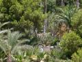 The cove, Villajoyosa and your vegetation