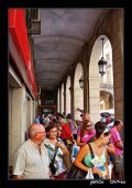 Mercadillo a Sunday for the tomorrow in viper