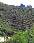 Sides between the pathes of Pedreguer