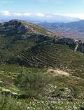 Travesia for the pathes of Pedreguer in high marine