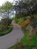 Asphalting road for the pathes of Pedreguer