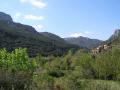 Peñaescabia, Bejís