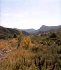 View of the fields of Argelita