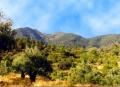 View of the terrains of someone