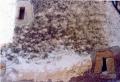 View of the remains of the wall of the Benafigos castle