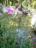 Pathes of Villabona