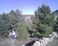 I half-close natural of Castell of Cabres