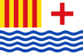 Flag of wave