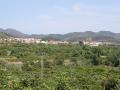 Dress panoramic of Castellnovo