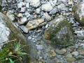 Waters of the Palancia rio in your birth in the saw of the bull