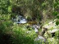 Near tender to the Rio Palancia birth