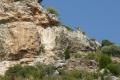 Landscape about the Irta saw