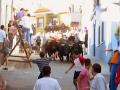 AYORA- Fiestas of August