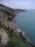 Open space of the Irta saw in Peñíscola