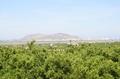 Monta�a de Cullera vista desde Corbera.
