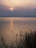 Natural park of the saltwater lagoon in valency