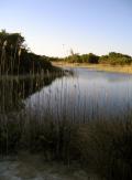 Open space of the pasture land, valency