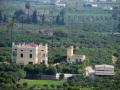View of Alzira and your kitchen gardens