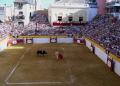 The taurine week in Algemesí