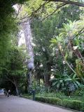 Walks for the botanical garden of valency
