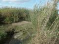 Irrigation ditch of Mestalla, fertile lowland of valency