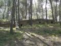 Forttificaciones of the civil war in the mountain the Puig foot