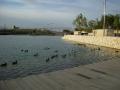 Head park of the VALENCIA ciuda